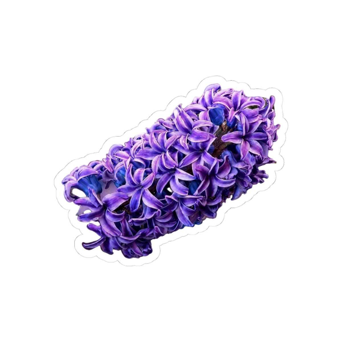 Purple Hyacinth Flower - Official Creator merchandise