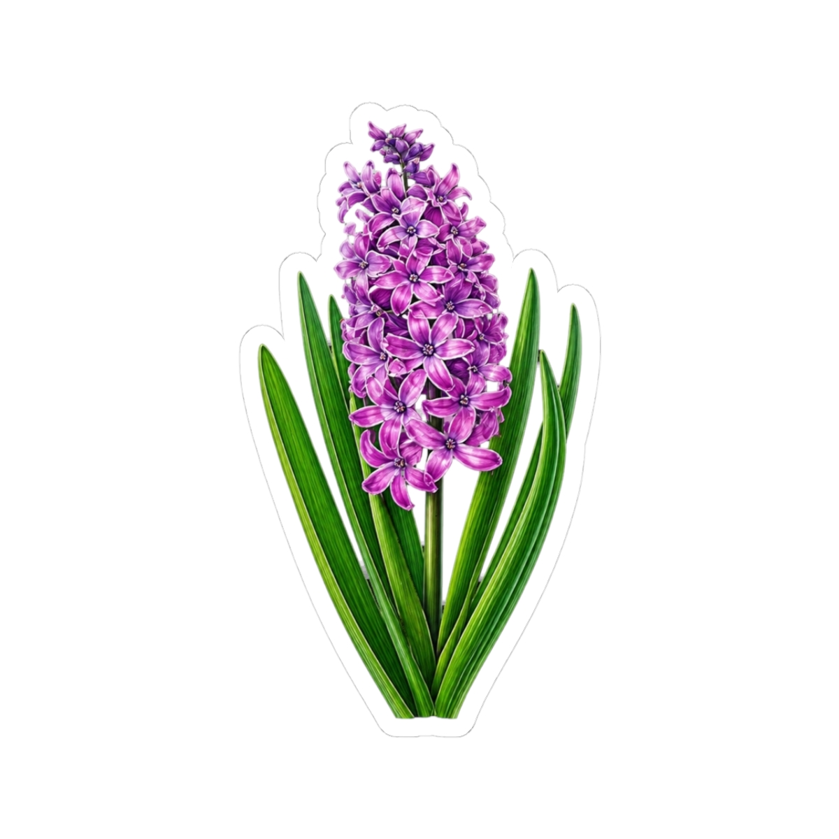 Pink/Purple Hyacinth (Hyacinth Eight) - Official Creator merchandise