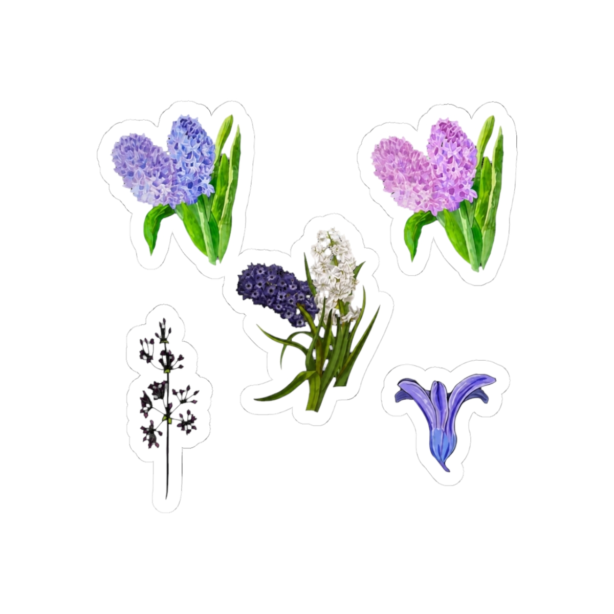 Purple Hyacinth Flower Blue Watercolor Sticker Pack 3 - Official stickers merchandise