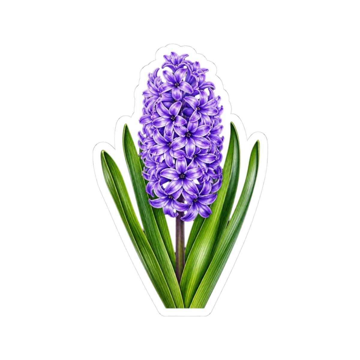 Purple Hyacinth (Hyacinth Six) - Official Creator merchandise