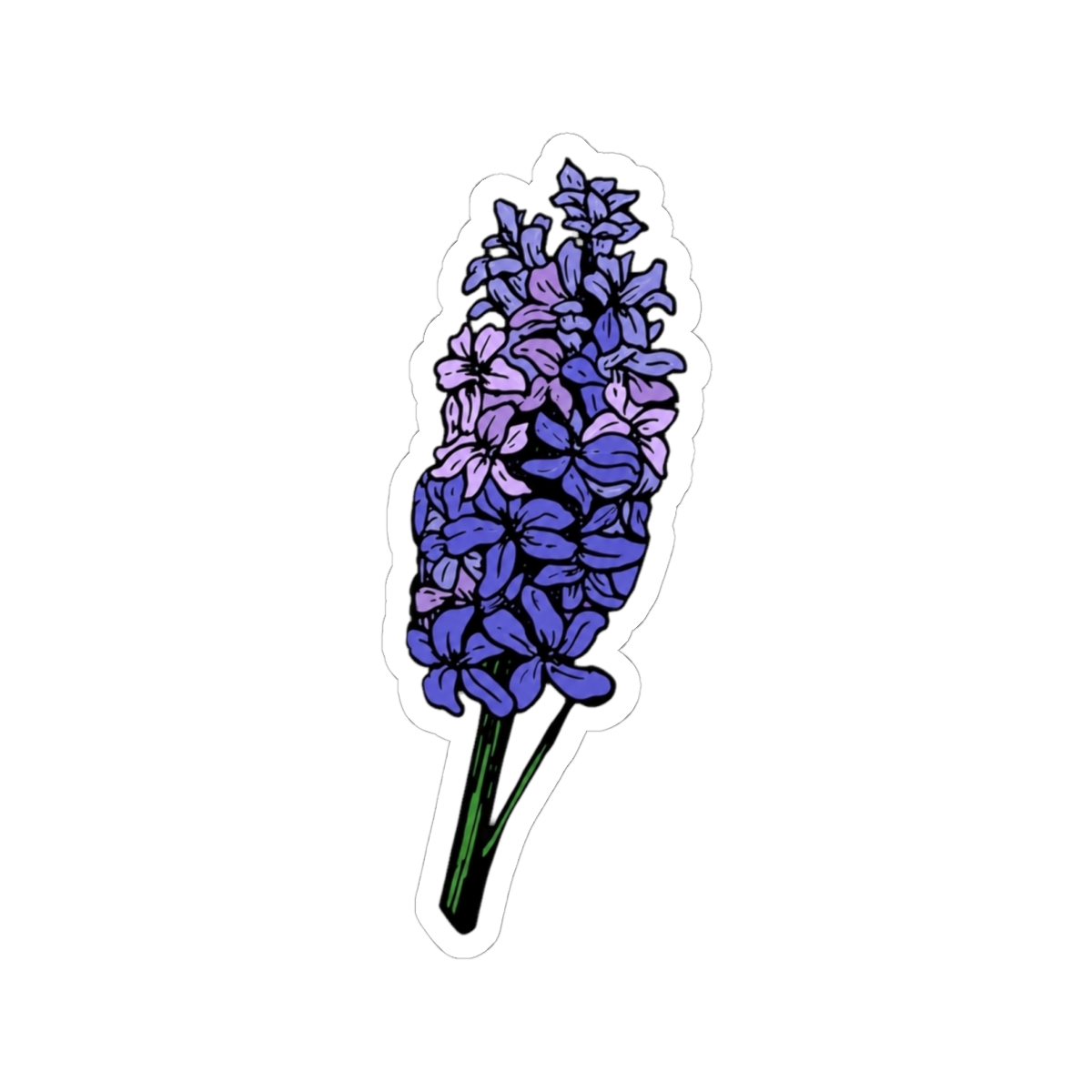 Purple hyacinth - alternate angle 2, merchandise
